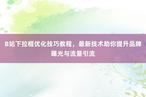 B站下拉框优化技巧教程，最新技术助你提升品牌曝光与流量引流