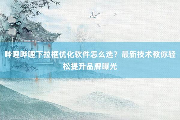 哔哩哔哩下拉框优化软件怎么选？最新技术教你轻松提升品牌曝光