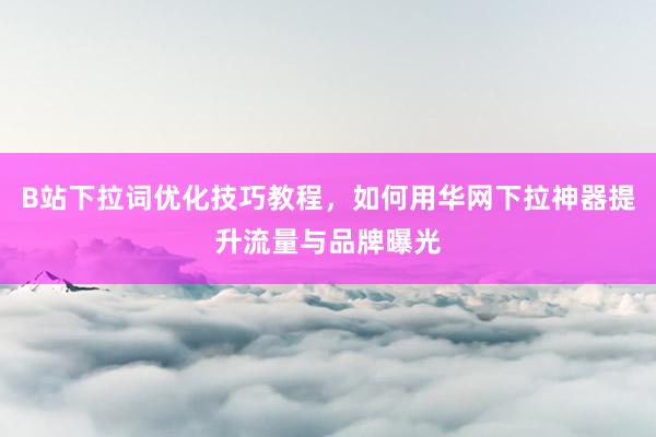 B站下拉词优化技巧教程，如何用华网下拉神器提升流量与品牌曝光