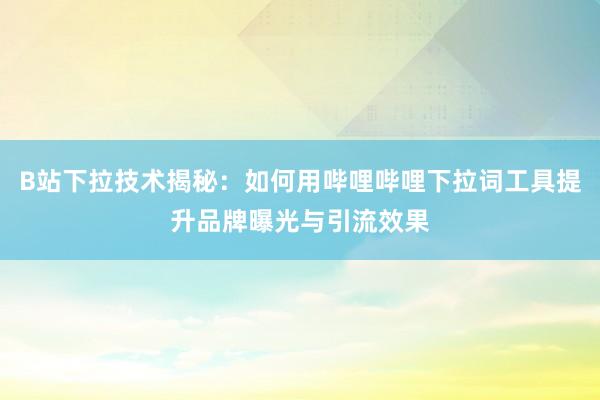 B站下拉技术揭秘：如何用哔哩哔哩下拉词工具提升品牌曝光与引流效果
