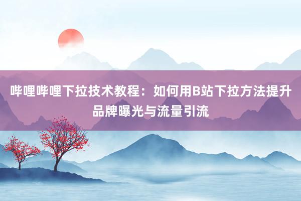 哔哩哔哩下拉技术教程：如何用B站下拉方法提升品牌曝光与流量引流