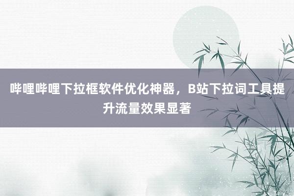 哔哩哔哩下拉框软件优化神器，B站下拉词工具提升流量效果显著