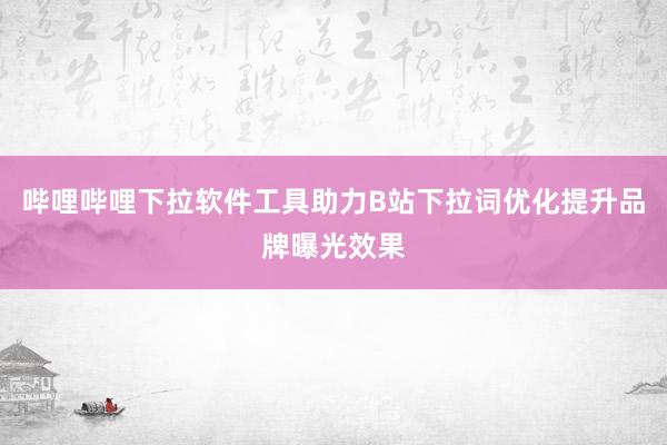 哔哩哔哩下拉软件工具助力B站下拉词优化提升品牌曝光效果
