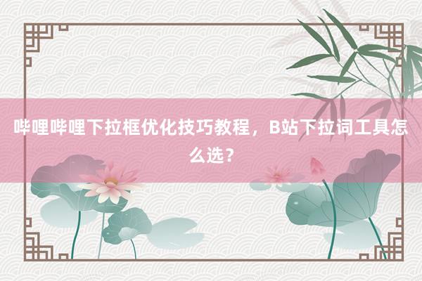 哔哩哔哩下拉框优化技巧教程，B站下拉词工具怎么选？