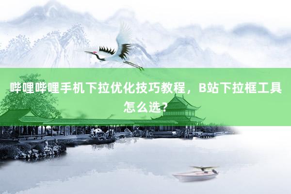 哔哩哔哩手机下拉优化技巧教程，B站下拉框工具怎么选？