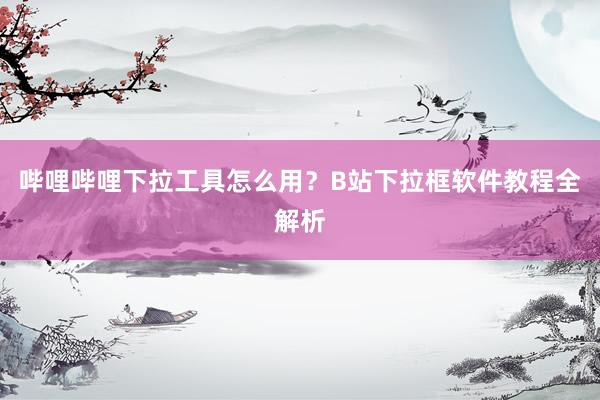 哔哩哔哩下拉工具怎么用？B站下拉框软件教程全解析