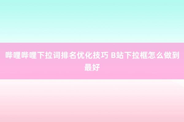 哔哩哔哩下拉词排名优化技巧 B站下拉框怎么做到最好