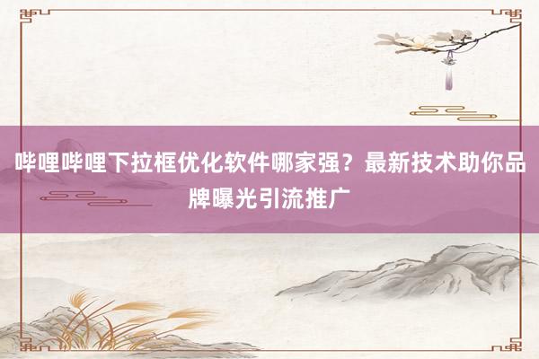 哔哩哔哩下拉框优化软件哪家强？最新技术助你品牌曝光引流推广