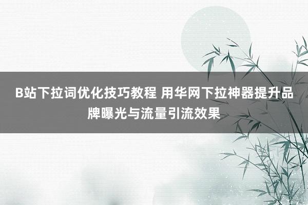 B站下拉词优化技巧教程 用华网下拉神器提升品牌曝光与流量引流效果