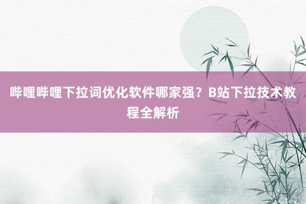 哔哩哔哩下拉词优化软件哪家强？B站下拉技术教程全解析