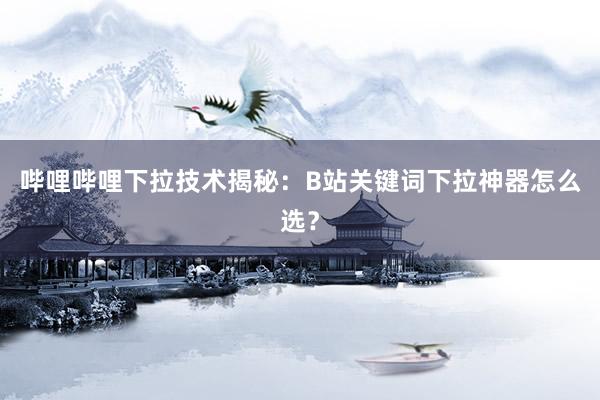 哔哩哔哩下拉技术揭秘：B站关键词下拉神器怎么选？
