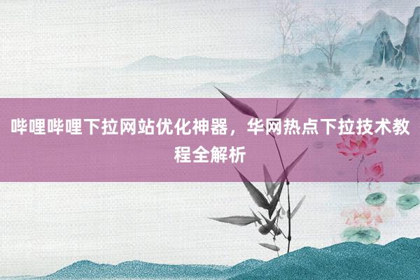 哔哩哔哩下拉网站优化神器，华网热点下拉技术教程全解析