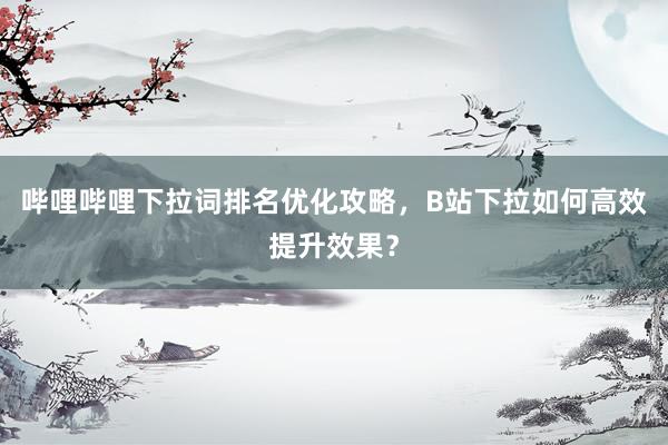 哔哩哔哩下拉词排名优化攻略，B站下拉如何高效提升效果？