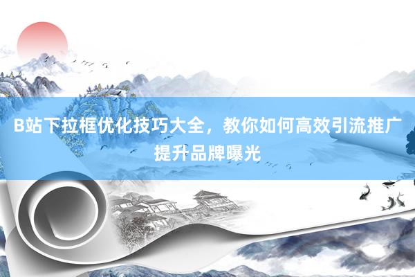 B站下拉框优化技巧大全，教你如何高效引流推广提升品牌曝光