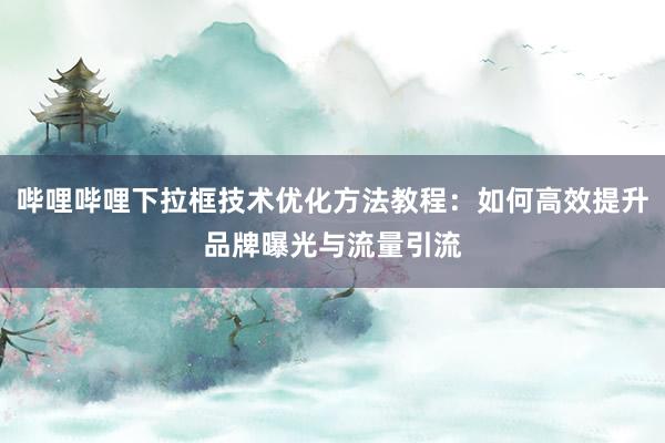 哔哩哔哩下拉框技术优化方法教程：如何高效提升品牌曝光与流量引流