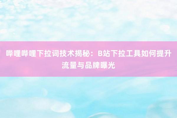 哔哩哔哩下拉词技术揭秘：B站下拉工具如何提升流量与品牌曝光