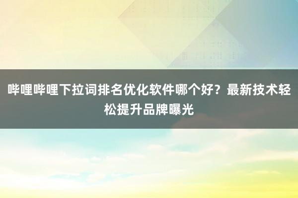 哔哩哔哩下拉词排名优化软件哪个好？最新技术轻松提升品牌曝光