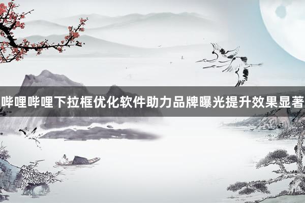 哔哩哔哩下拉框优化软件助力品牌曝光提升效果显著