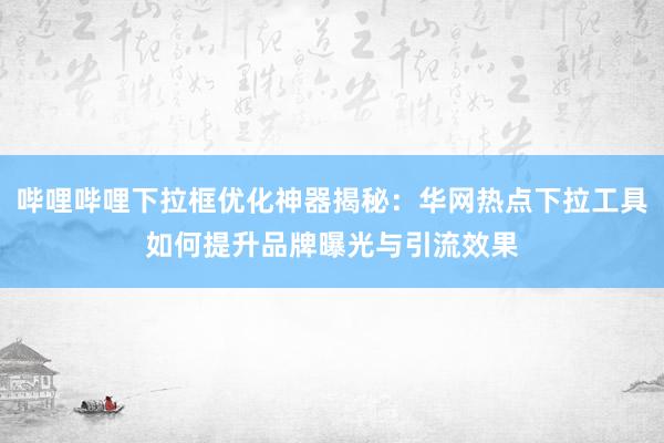 哔哩哔哩下拉框优化神器揭秘：华网热点下拉工具如何提升品牌曝光与引流效果