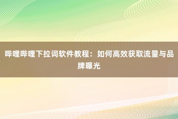 哔哩哔哩下拉词软件教程：如何高效获取流量与品牌曝光