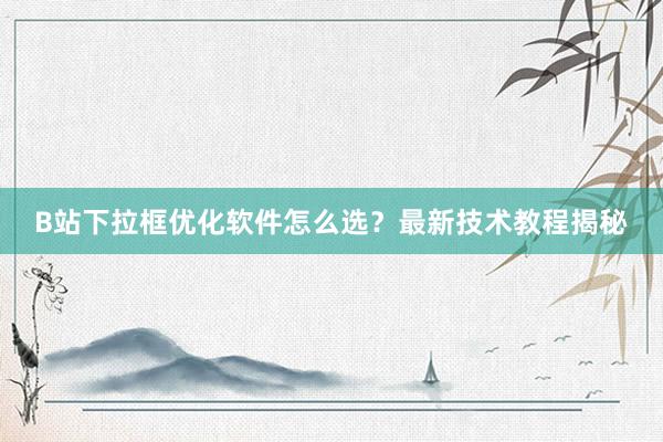 B站下拉框优化软件怎么选？最新技术教程揭秘