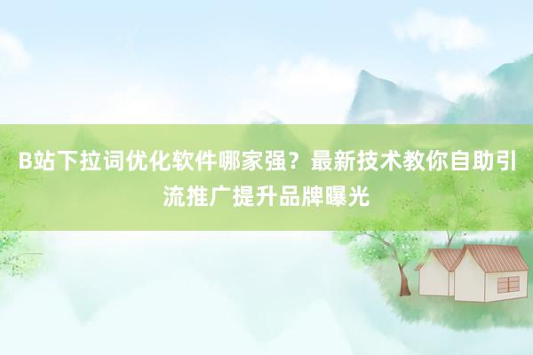 B站下拉词优化软件哪家强？最新技术教你自助引流推广提升品牌曝光