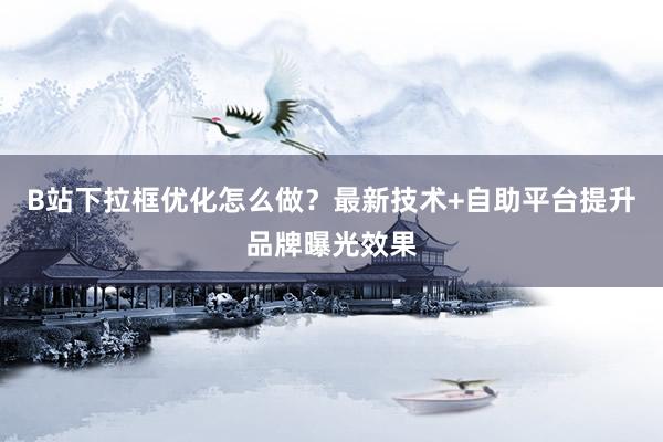 B站下拉框优化怎么做？最新技术+自助平台提升品牌曝光效果