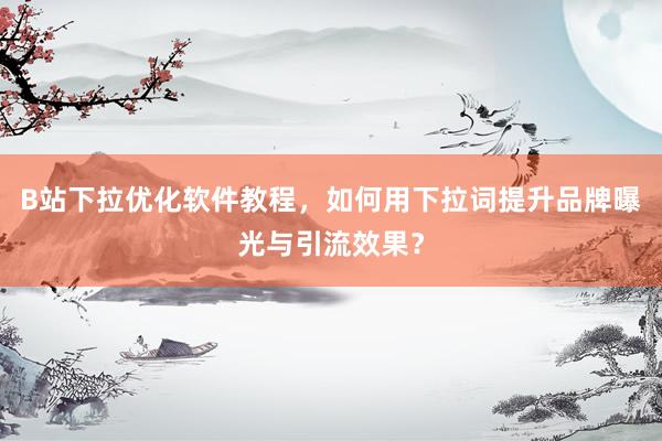 B站下拉优化软件教程，如何用下拉词提升品牌曝光与引流效果？