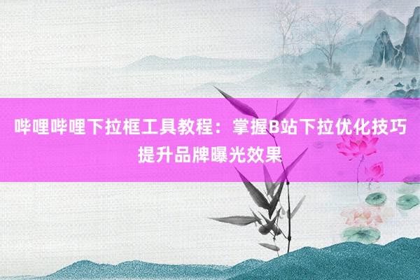 哔哩哔哩下拉框工具教程：掌握B站下拉优化技巧提升品牌曝光效果
