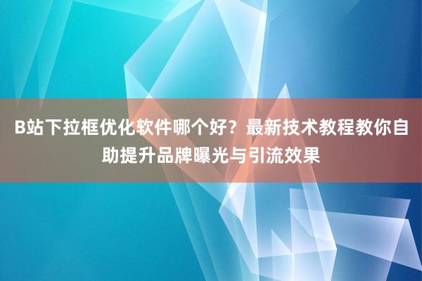 B站下拉框优化软件哪个好？最新技术教程教你自助提升品牌曝光与引流效果