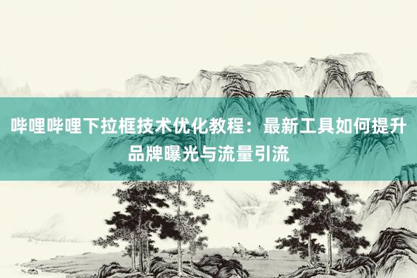 哔哩哔哩下拉框技术优化教程：最新工具如何提升品牌曝光与流量引流
