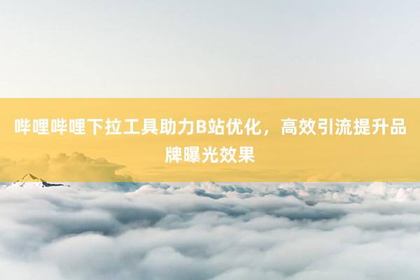 哔哩哔哩下拉工具助力B站优化，高效引流提升品牌曝光效果