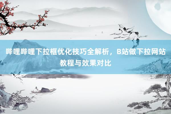 哔哩哔哩下拉框优化技巧全解析，B站做下拉网站教程与效果对比