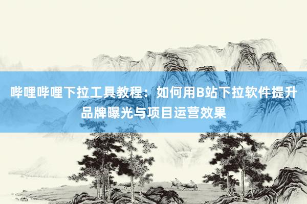 哔哩哔哩下拉工具教程：如何用B站下拉软件提升品牌曝光与项目运营效果