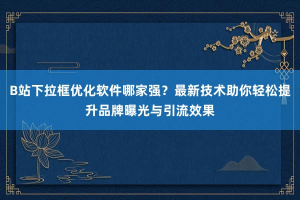 B站下拉框优化软件哪家强？最新技术助你轻松提升品牌曝光与引流效果