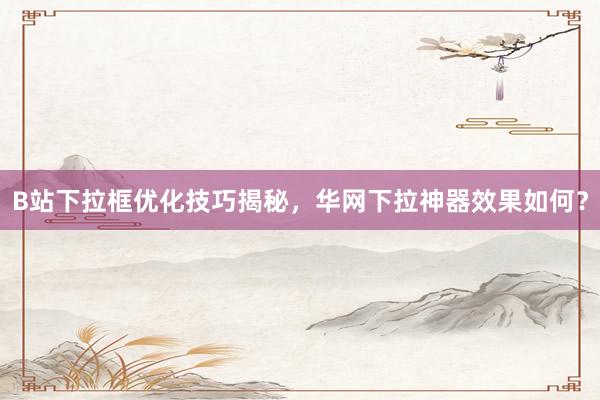 B站下拉框优化技巧揭秘，华网下拉神器效果如何？