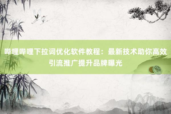 哔哩哔哩下拉词优化软件教程：最新技术助你高效引流推广提升品牌曝光