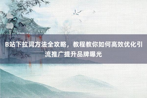 B站下拉词方法全攻略，教程教你如何高效优化引流推广提升品牌曝光