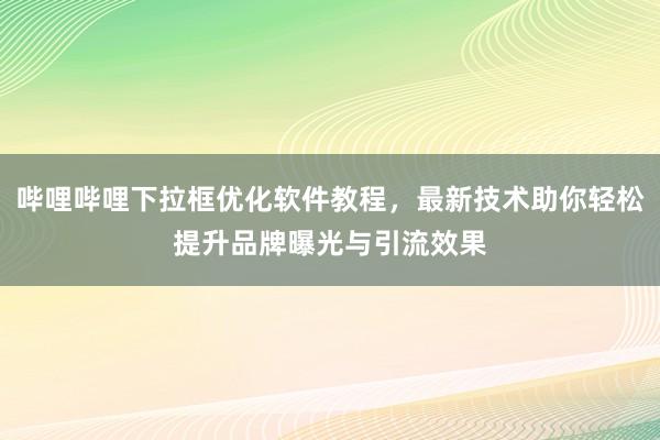 哔哩哔哩下拉框优化软件教程，最新技术助你轻松提升品牌曝光与引流效果