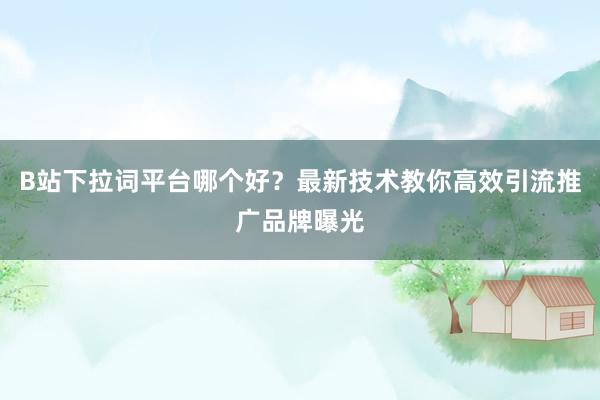 B站下拉词平台哪个好？最新技术教你高效引流推广品牌曝光