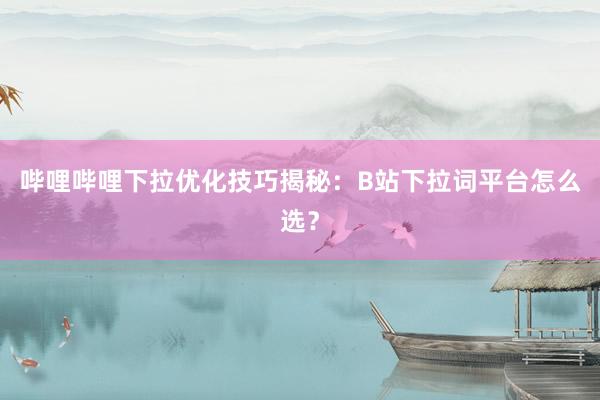哔哩哔哩下拉优化技巧揭秘：B站下拉词平台怎么选？