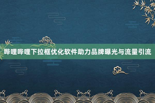 哔哩哔哩下拉框优化软件助力品牌曝光与流量引流