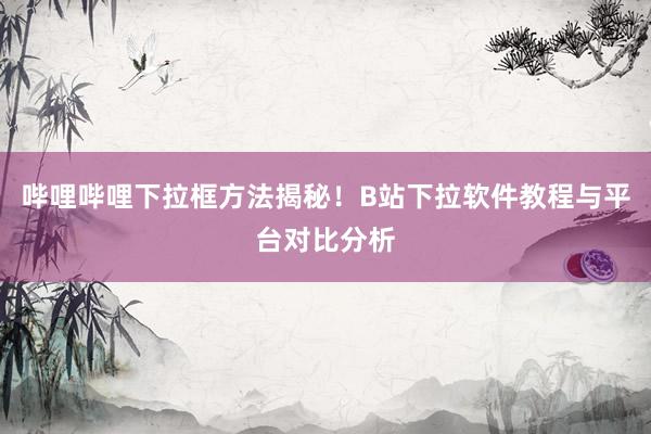 哔哩哔哩下拉框方法揭秘！B站下拉软件教程与平台对比分析