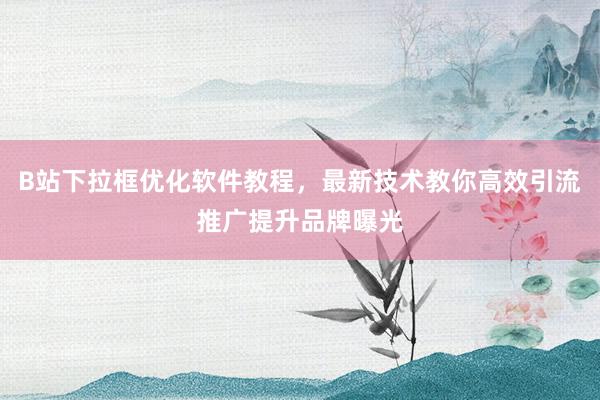 B站下拉框优化软件教程，最新技术教你高效引流推广提升品牌曝光