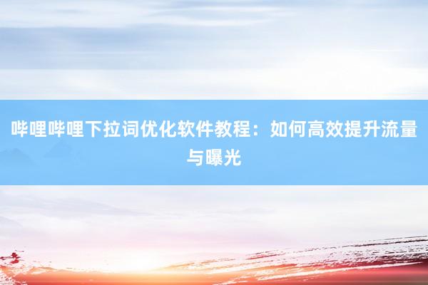 哔哩哔哩下拉词优化软件教程：如何高效提升流量与曝光