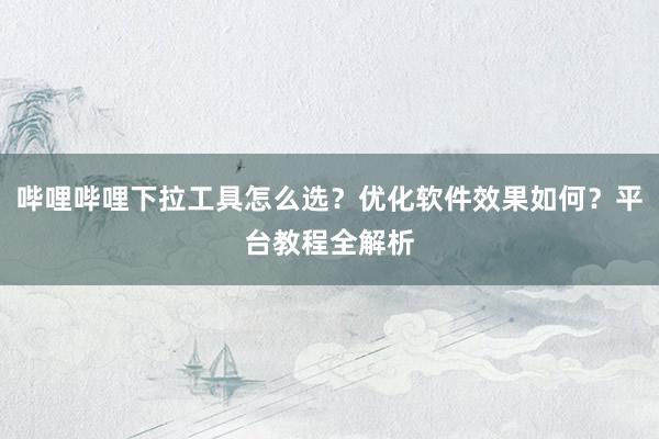 哔哩哔哩下拉工具怎么选？优化软件效果如何？平台教程全解析