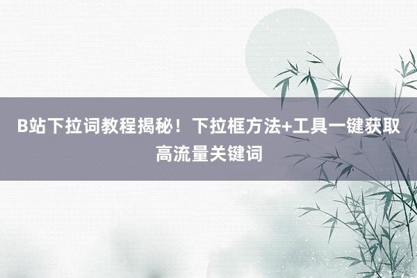 B站下拉词教程揭秘！下拉框方法+工具一键获取高流量关键词