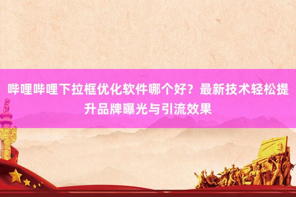 哔哩哔哩下拉框优化软件哪个好？最新技术轻松提升品牌曝光与引流效果