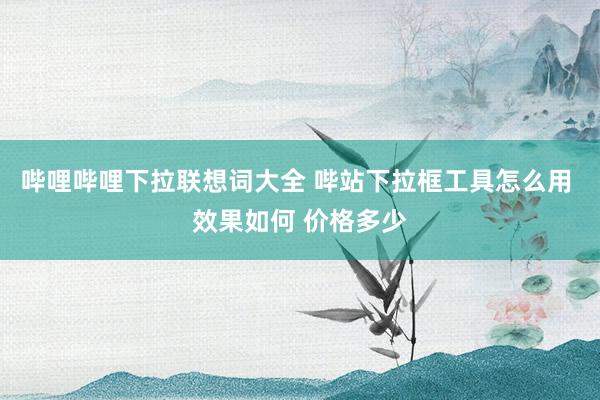 哔哩哔哩下拉联想词大全 哔站下拉框工具怎么用 效果如何 价格多少