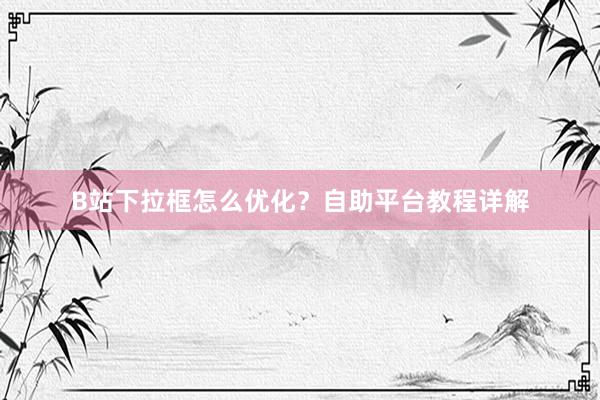 B站下拉框怎么优化？自助平台教程详解